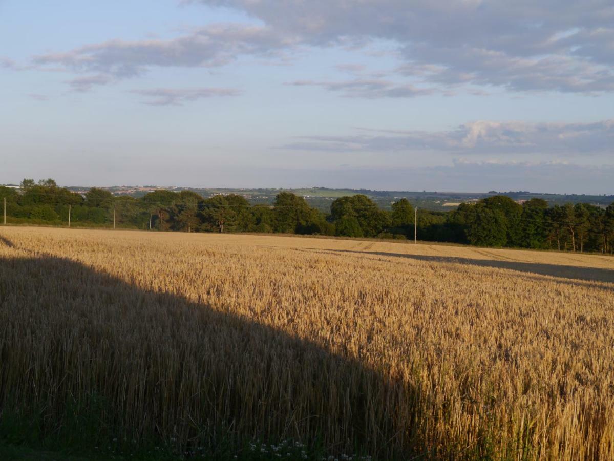 Riding Farm Cottages Gateshead Luaran gambar