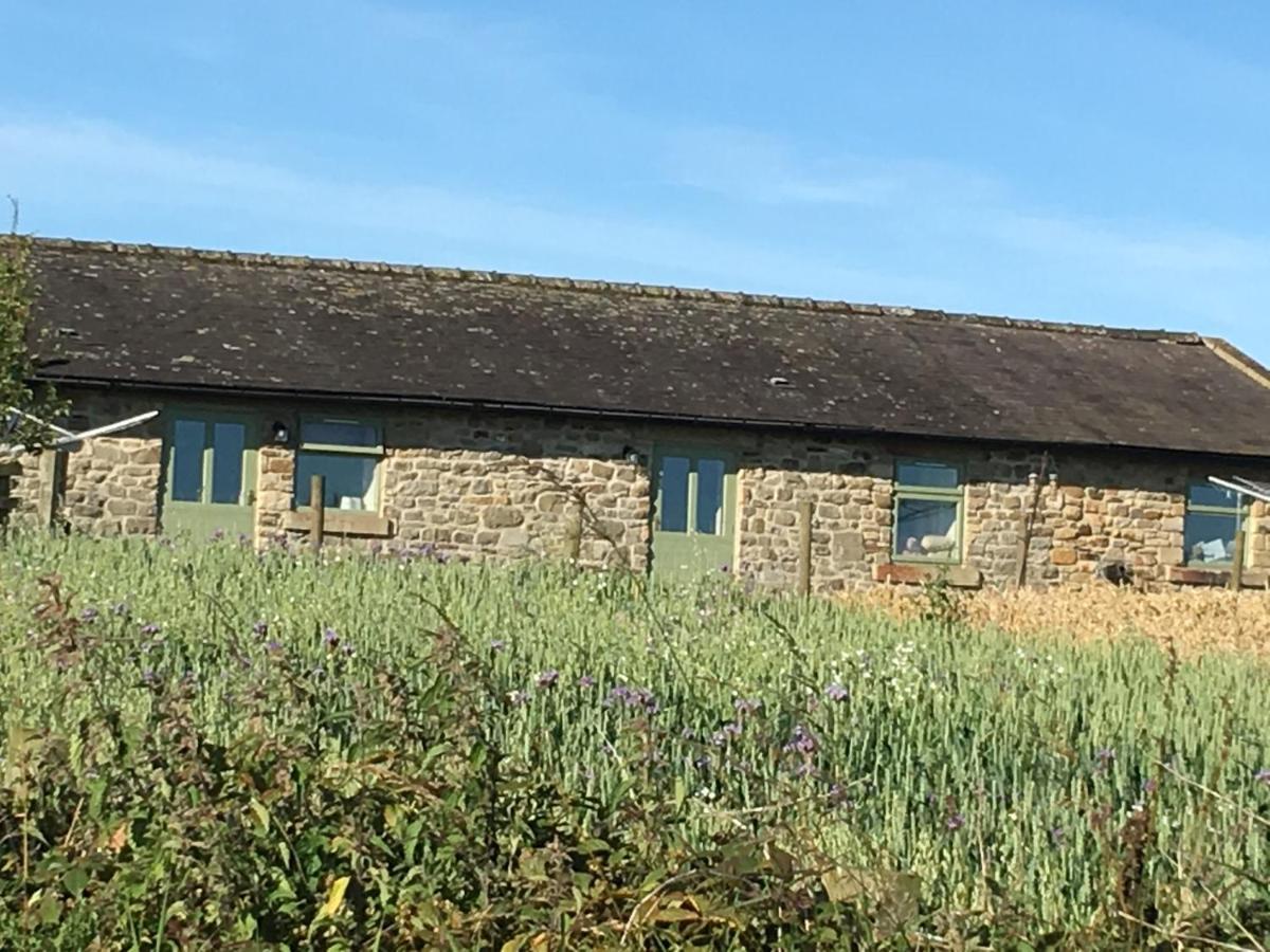 Riding Farm Cottages Gateshead Luaran gambar